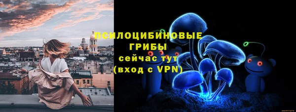 дживик Губаха