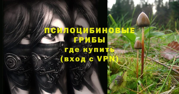 гашик Верхний Тагил