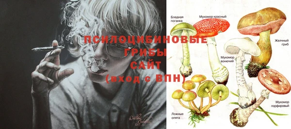 гашик Верхний Тагил