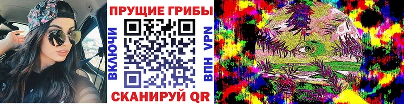 Псилоцибиновые грибы мицелий  ОМГ ОМГ онион  Лихославль 